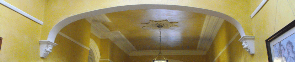 Hawthorn Plaster Repairs Specialists